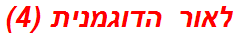 לאור הדוגמנית (4)