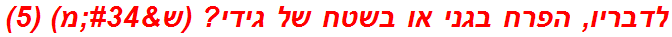 לדבריו, הפרח בגני או בשטח של גידי? (ש"מ) (5)