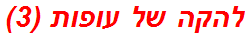 להקה של עופות (3)