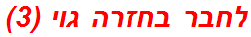 לחבר בחזרה גוי (3)