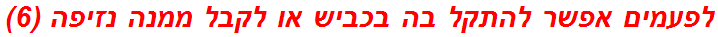 לפעמים אפשר להתקל בה בכביש או לקבל ממנה נזיפה (6)