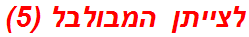 לצייתן המבולבל (5)