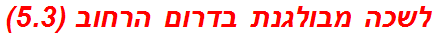 לשכה מבולגנת בדרום הרחוב (5.3)