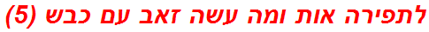 לתפירה אות ומה עשה זאב עם כבש (5)