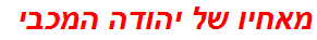 מאחיו של יהודה המכבי