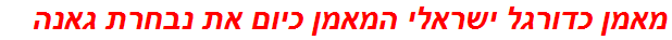 מאמן כדורגל ישראלי המאמן כיום את נבחרת גאנה