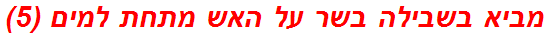 מביא בשבילה בשר על האש מתחת למים (5)