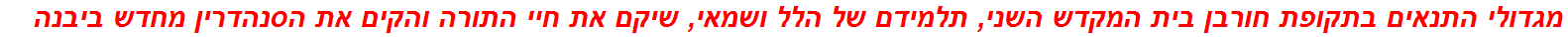 מגדולי התנאים בתקופת חורבן בית המקדש השני, תלמידם של הלל ושמאי, שיקם את חיי התורה והקים את הסנהדרין מחדש ביבנה