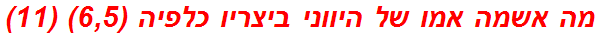 מה אשמה אמו של היווני ביצריו כלפיה (6,5) (11)