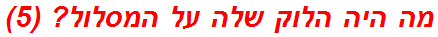 מה היה הלוק שלה על המסלול? (5)