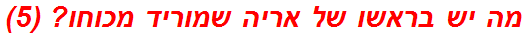 מה יש בראשו של אריה שמוריד מכוחו? (5)