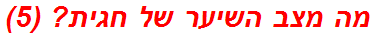 מה מצב השיער של חגית? (5)