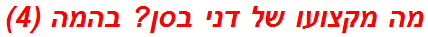 מה מקצועו של דני בסן? בהמה (4)