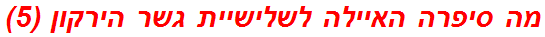 מה סיפרה האיילה לשלישיית גשר הירקון (5)