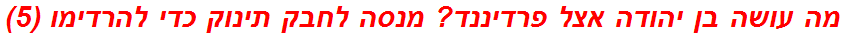 מה עושה בן יהודה אצל פרדיננד? מנסה לחבק תינוק כדי להרדימו (5)