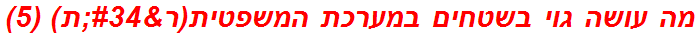 מה עושה גוי בשטחים במערכת המשפטית(ר"ת) (5)