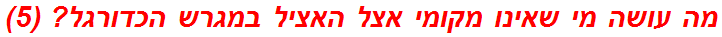 מה עושה מי שאינו מקומי אצל האציל במגרש הכדורגל? (5)