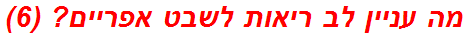 מה עניין לב ריאות לשבט אפריים? (6)