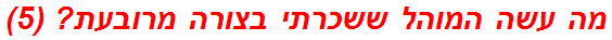 מה עשה המוהל ששכרתי בצורה מרובעת? (5)