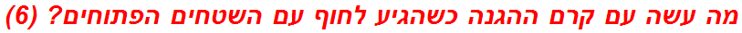 מה עשה עם קרם ההגנה כשהגיע לחוף עם השטחים הפתוחים? (6)