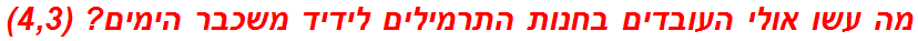 מה עשו אולי העובדים בחנות התרמילים לידיד משכבר הימים? (4,3)