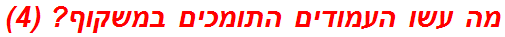 מה עשו העמודים התומכים במשקוף? (4)