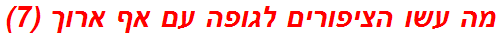 מה עשו הציפורים לגופה עם אף ארוך (7)