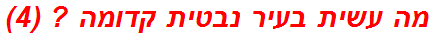 מה עשית בעיר נבטית קדומה ? (4)