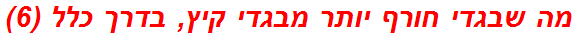 מה שבגדי חורף יותר מבגדי קיץ, בדרך כלל (6)