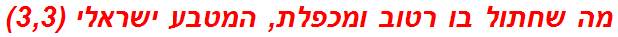 מה שחתול בו רטוב ומכפלת, המטבע ישראלי (3,3)