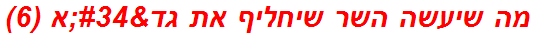 מה שיעשה השר שיחליף את גד"א (6)