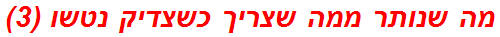 מה שנותר ממה שצריך כשצדיק נטשו (3)