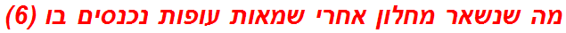 מה שנשאר מחלון אחרי שמאות עופות נכנסים בו (6)