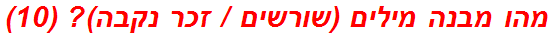 מהו מבנה מילים (שורשים / זכר נקבה)? (10)