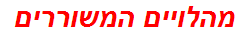 מהלויים המשוררים