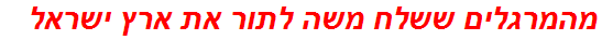 מהמרגלים ששלח משה לתור את ארץ ישראל