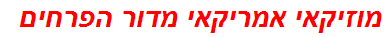 מוזיקאי אמריקאי מדור הפרחים