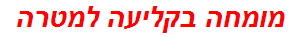 מומחה בקליעה למטרה