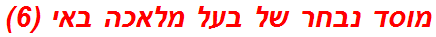 מוסד נבחר של בעל מלאכה באי (6)