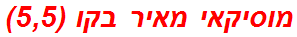 מוסיקאי מאיר בקו (5,5)