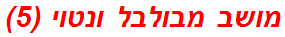 מושב מבולבל ונטוי (5)