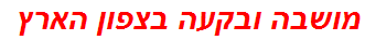 מושבה ובקעה בצפון הארץ