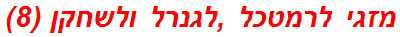 מזגי לרמטכל ,לגנרל ולשחקן (8)