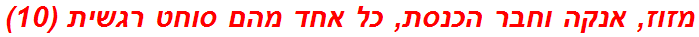 מזוז, אנקה וחבר הכנסת, כל אחד מהם סוחט רגשית (10)