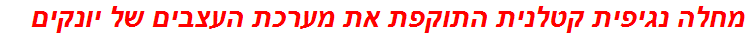 מחלה נגיפית קטלנית התוקפת את מערכת העצבים של יונקים