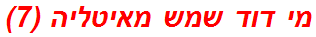 מי דוד שמש מאיטליה (7)