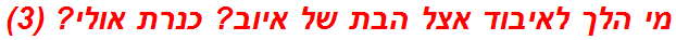 מי הלך לאיבוד אצל הבת של איוב? כנרת אולי? (3)