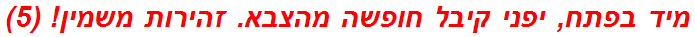 מיד בפתח, יפני קיבל חופשה מהצבא. זהירות משמין! (5)