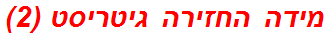 מידה החזירה גיטריסט (2)