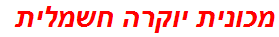 מכונית יוקרה חשמלית